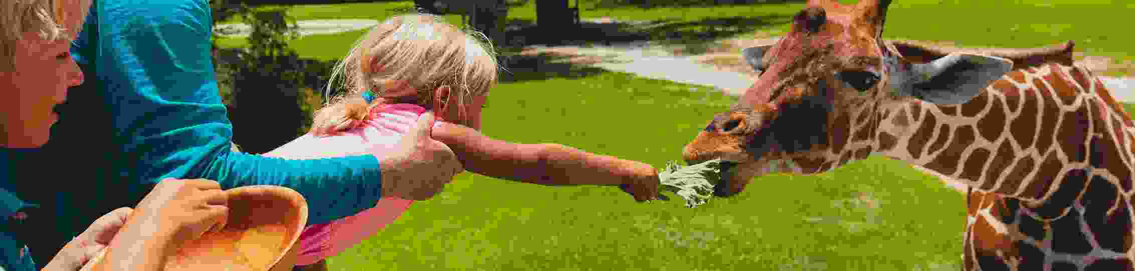 Classified Website Dehradun